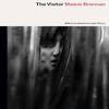 The Visitor by Maeve Brennan Paperback Book 9781913512637