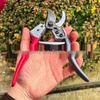 SK5 Steel Pruning Shears for Bonsai, Fruit, and Vegetables - Perfect for Gardening, Outdoor Use, and Fruit Tree Picking.