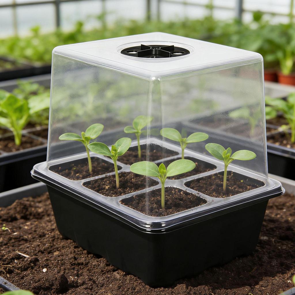 Plant Starter Tray Growing Indoor Vented Kit 6 Cells for Wheatgrass Seedling