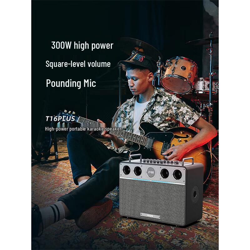 W-King T16PLUS 300W Portable KTV Bluetooth Speaker