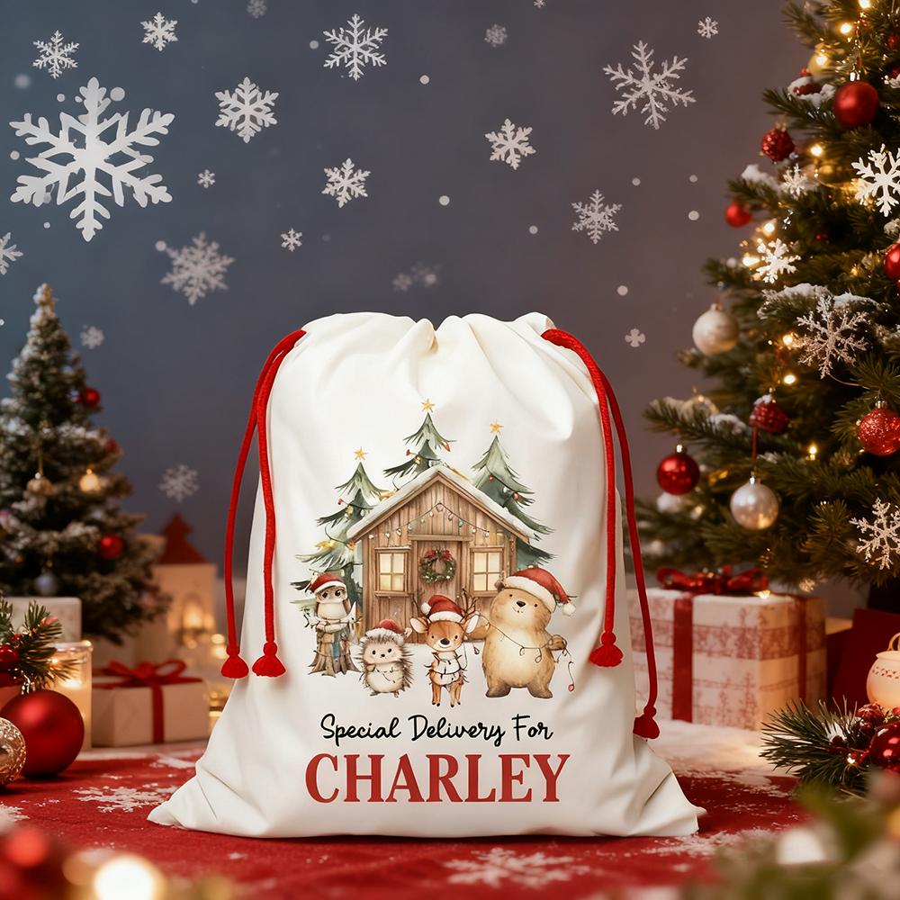 Personalized Woodland Christmas Bag Kids Xmas Gift Sack Large Reusable Present Bag Special Delivery Sack Christmas Santa Bag