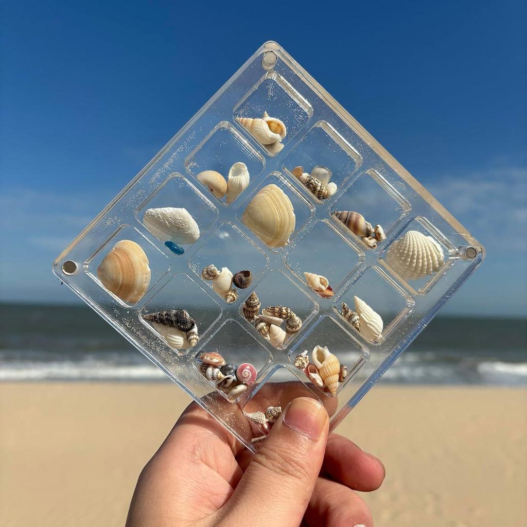 16-Grid Transparent Seashell Storage Box: Magnetic Acrylic Display for Jewelry and Beach Stone Specimens