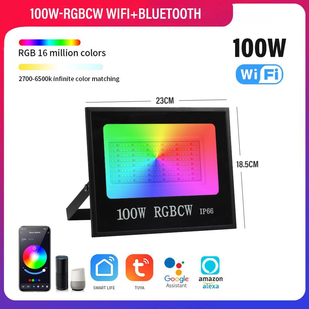 RGB LED Floodlight Reflector Outdoor Lighting 220V 30W 50W 100W Waterproof Spotlight Lamps Landscape Lighting Xmas Decoration