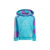 Kapüşonlu Orta Seviye Çocuk Sweatshirtleri GV4334
