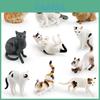Siamese Cat Model Pvc Realistic Animal Collectible For Kids Educational Decor