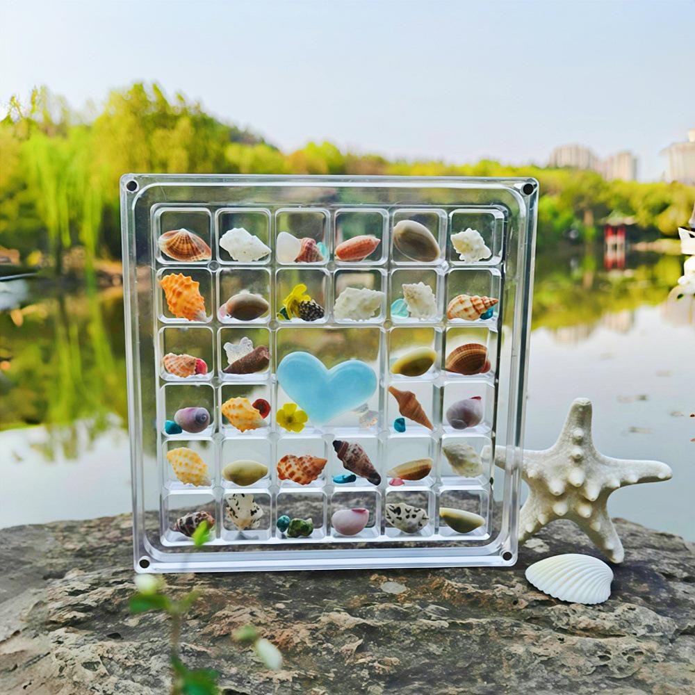 Acrylic Large Transparent Seashell and Stones Display Box with Magnetic Multi-Grid Storage