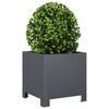 Vidaxl Garden Planters, 2 Pcs, Anthracite, 30X30X30 Cm, Steel