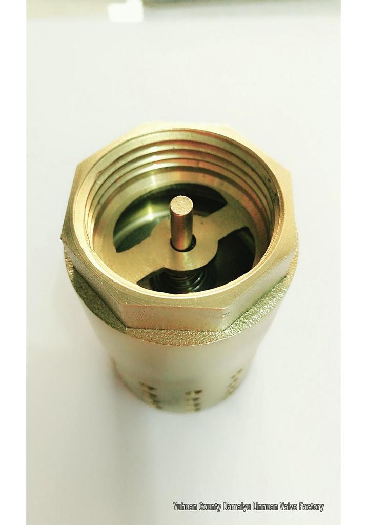 Brass Vertical Low Pressure One-Way Check Valve with Filter