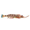 Marine Prawn Animal Model Early Learning Educational Vivid Simulation Home Decoration Sea Animal