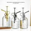 Push-type Glass Spray Bottle Hand Pressure Rain Drop Plant Sprinkler Kettle Fine Mist Non-slip Bottom Garden Watering Can
