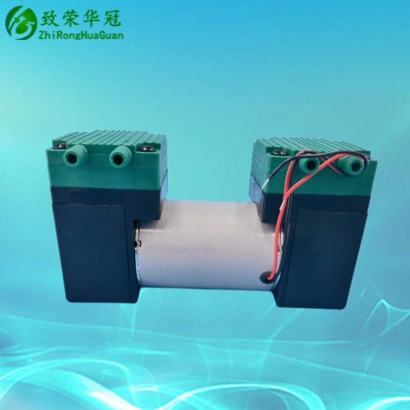Miniature Vacuum Pump AC110V Small Pump DC24V Inflating Pump AC220V Beauty Instrument Negative Pressure Pump DC12V Air Pump