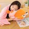 Car Throw Pillow Blanket Dual-purpose Two-in-one Office Multi-function Lunch Break Air Conditioner Quilt Plush Toy Throw Pillow