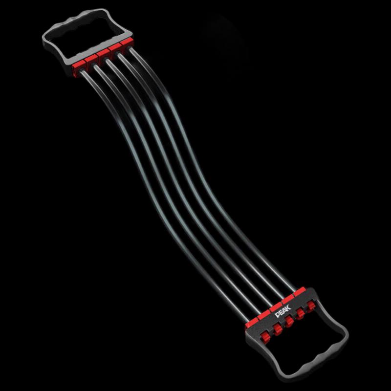 PEAK Chest Expander