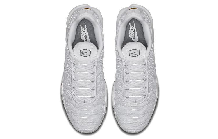 Nike Air Max Plus 'White' 604133-139