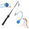 Flirt Pole for Dogs Interactive Dog Pole Toy for Large Medium Small Dogs, Sports Dog Teaser Pole for Tug of War, Flirt Pole with Lure Ball (Standard