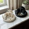 Gothic Dragon Guardian Catchall Dish Dark Style Key Coin Storage Holder  Entryway Front