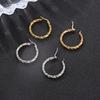 Twisted Wire Earrings Niche Design Round Stainless Steel Women's Ear Buckle Trend Simple Titanium Steel Ear Jewelry