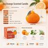 Creative Orange Scented Candle - Fruit Bridesmaid Gift, Wedding Favor, Photography Prop & Decoration