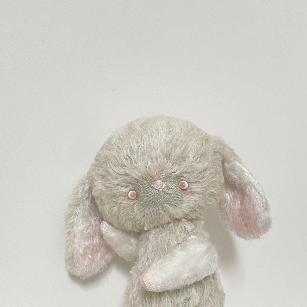[USED] Artist Bear Teddy Bear Mint Rabbit Rabbit Handmade by Overseas Artists