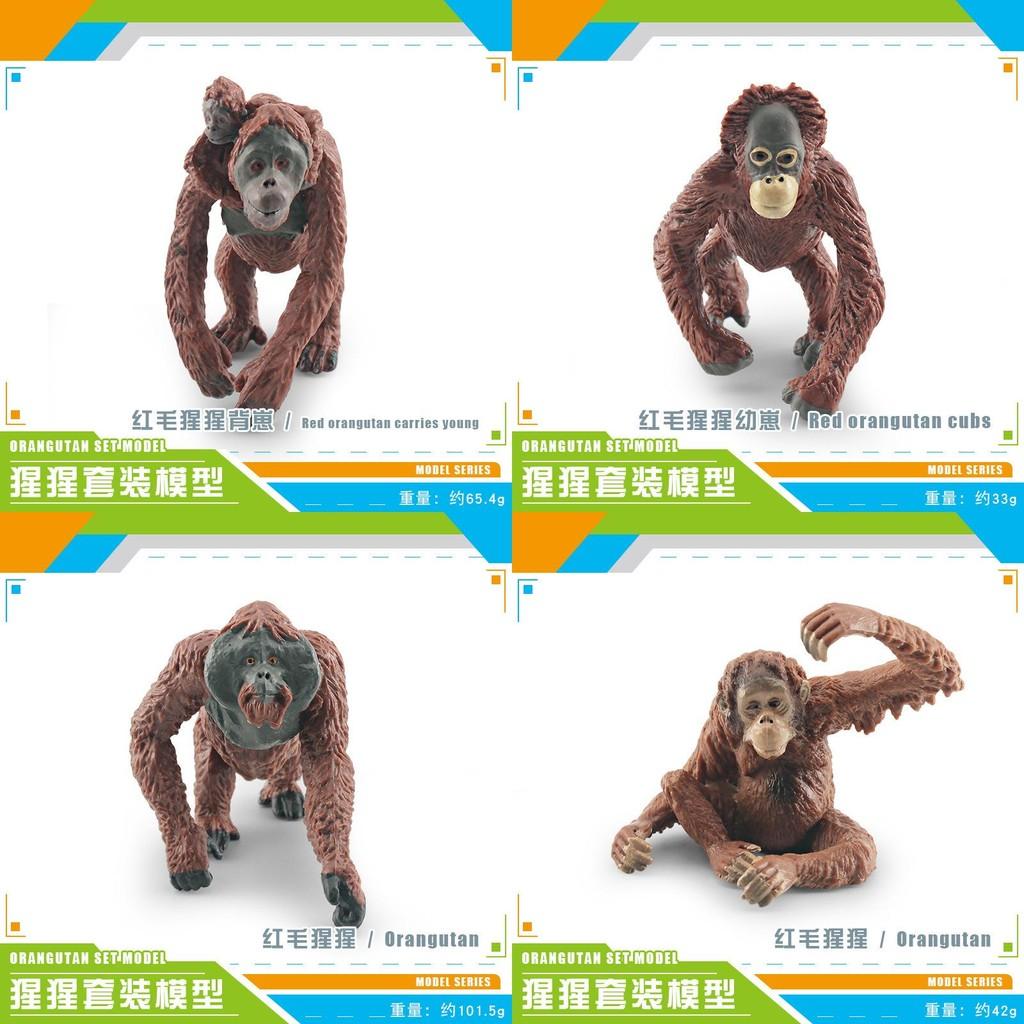 Lifelike Pvc Orangutan Model Collection With Detailed Features For Unique Desk Decor