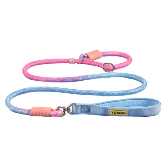 Slip Lead Dog Leash 5Ft Heavy Duty Rope Leash No Pull Pet Training Lead Slip Leash for Large Medium Dogs S