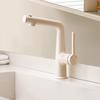 TLXT Wall-Mounted Single Cold Basin Faucet