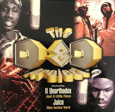 12inch Record D&D PROJECT, 2 UNORTHODOX / JUICE - Just A Little Flava / Nine Inches H 07822128121 Arista 1995 US Rap & Hip-Hop/R&B Used