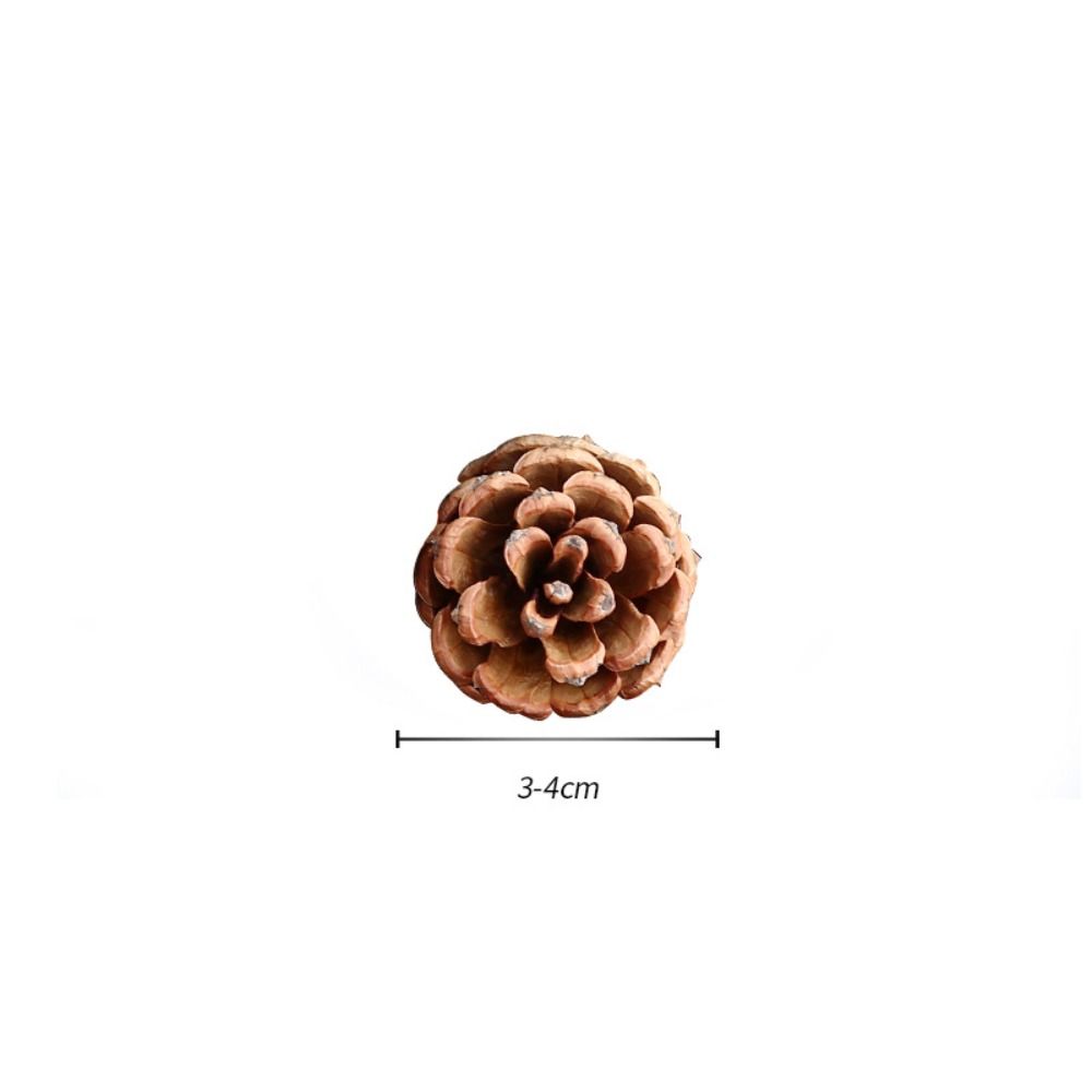 Wreath Western Food Plate Natural Pine Nut Artificial Flower Florist Decoration Wedding Decoration