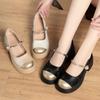 Autumn Shallow Mouth Mary Jane Shoes Soft Sole Thick Heel Retro Commuting All-match Round Head Women's Fashion Shoes