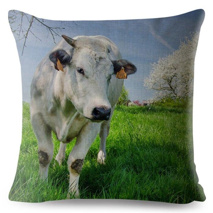 cow pillow covers