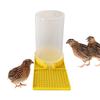 Poultry Feeder Water Cup Leakproof Large Capacity Clear Feeder Water Cup Feeding Container for Chicks Quail Bee Feeders