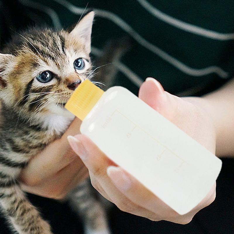 Pet Milk Bottle Puppy Nursing Bottle Kit Household Newborn Dog Cat Milk Feeder Drinking Bottle Pet Supplies for Puppies Kittens