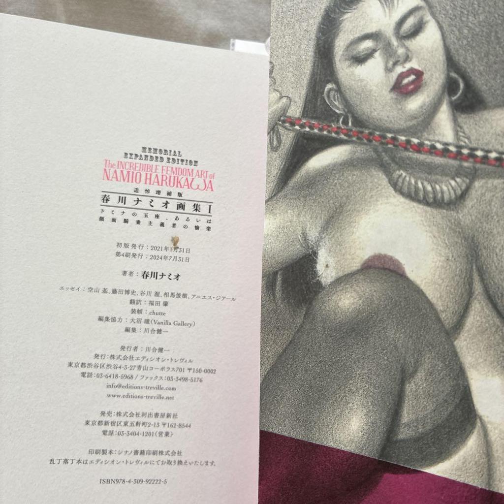 [USED] Namio Harukawa Art Books (2 volumes)