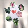 Creative Acrylic Tropical Plant Magnetic Fridge Sticker - Simulation Leaf Design
