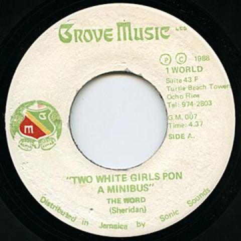 

7inch Record WORD - Two White Girls Pon A Mini Bus / Ve Grobe Music 1988 Jamaica Reggae, Ska & Dub