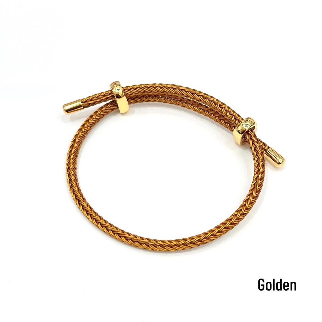 3mm Adjustable Steel Hand Rope Bracelet with Figure-Eight Buckle, Hard Gold Lucky Pixiu Beads, Red Rope Zodiac Design