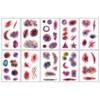 10 Sheets Waterproof Halloween Tattoo Sticker Scary Bloodiness Temporary Bruise Stickers  Women Men