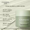 CHANDO Himalaya Tea Mud Purifying Clay Mask