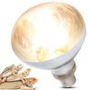 100W Reptile Heat Bulb Lamp Full Spectrum Heat Emitter Bulb for Tortoise Lizards 220‑240V