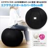 ALINCO Exercise Ball Cover for 65cm WB1251K