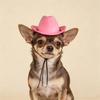 Solid Puppy Dog Cowboy Hat Western Cowboy Style Pet Hats for Small Medium Dogs Yorkshire Chihuahua Cat Caps mascotas Accessories