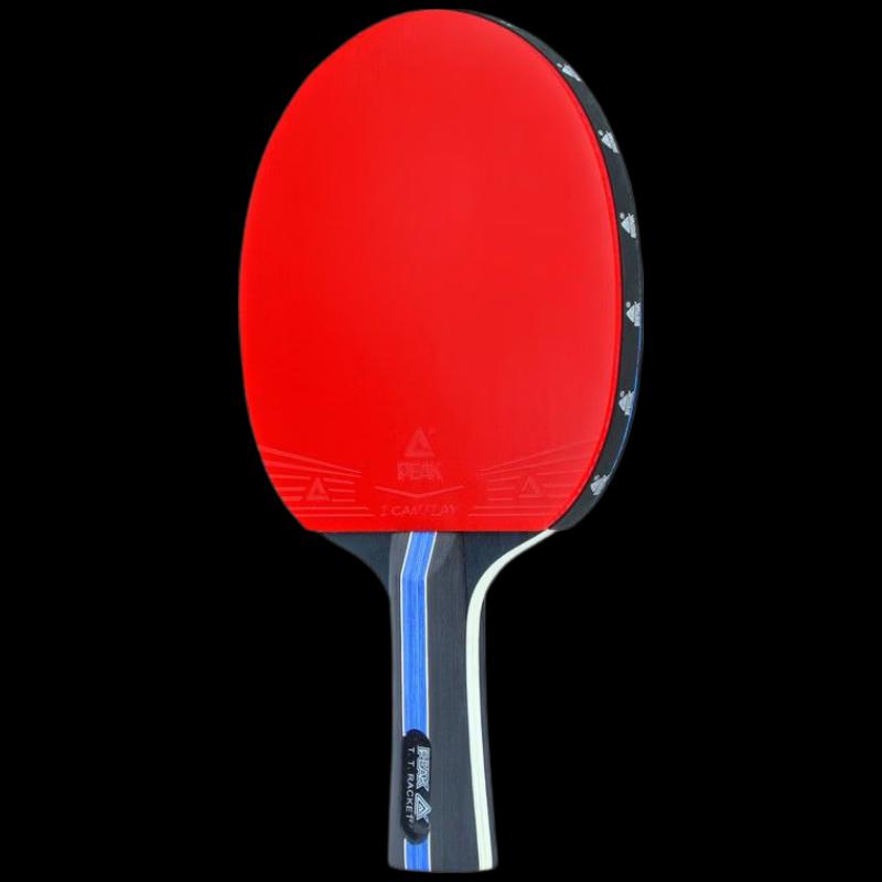 Yidejian 4-Star Table Tennis Racket Set