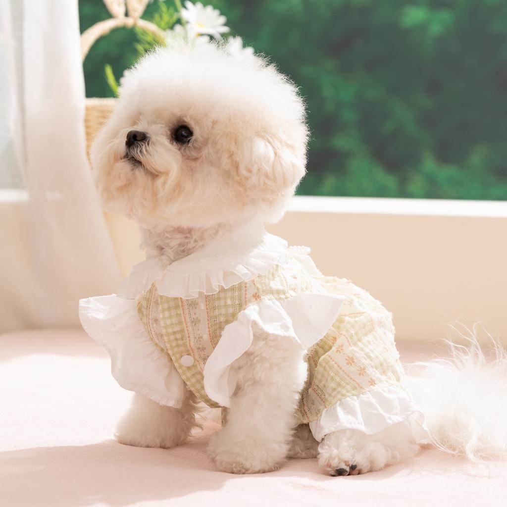 Doggy dress lightweight princess style lace dress for pets and cats