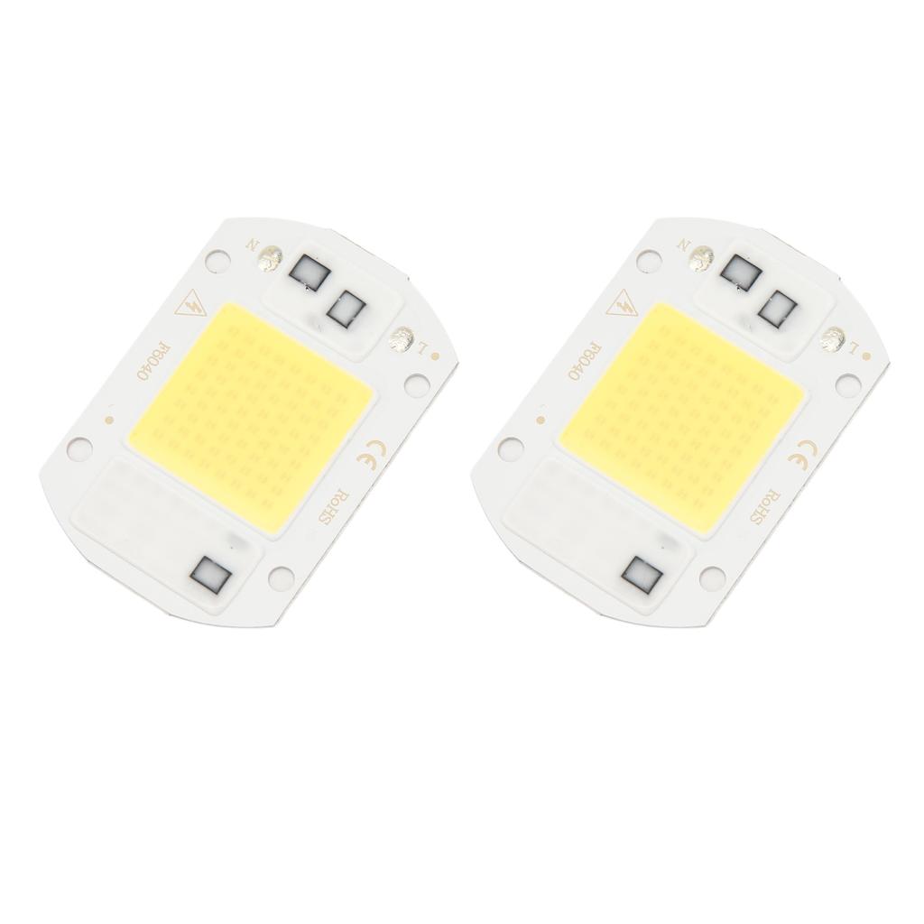 2 szt. LED COB Chip Wysokiej Mocy Bezsterownikowy Zintegrowany SMD Koraliki Lampy Światło Wydajne Flip Koralik Lampy COB Zimne Światło 20W