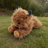 Pain Relief Plush Toy Highland Cow Cute Yak Doll with Long Fluffy Hair Flowing Soft Stuffed Animal Gift for Kids Adults Lovers Aesthetic