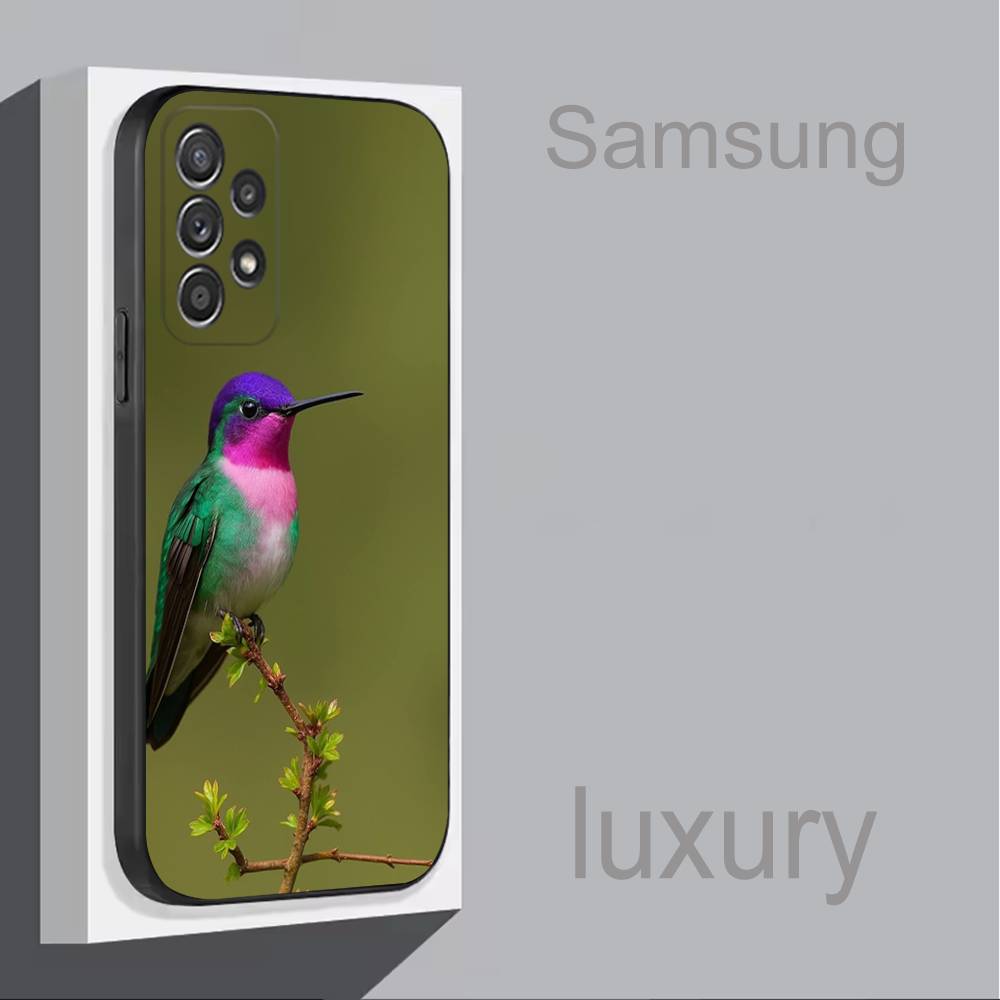 Bird Hummingbird Colorful For Samsung S 25,24,23,22,30,21,10,9,Ultra,Plus,Lite,FE,4,5G Black Soft Case Phone Case