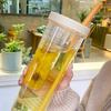 Plastic Water Bottle Portable With Straws Fruit Infuser Tea Juice Cup Fitness Sport Outdoor Travel Bottles Kettle Transparent