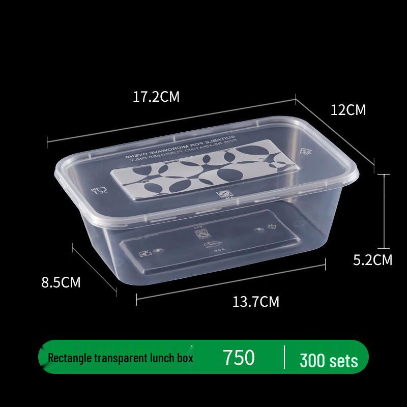 Disposable Transparent Plastic Takeout Containers