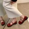 Retro Mary Jane Shoes Women's High Heels New Spring Round Head Thick Heel Single Shoes with Skirt Small Leather Shoes