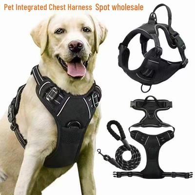 Dog Harness: I-Shaped Vest with Shock-Absorbing Back Protector and Safety Buckle